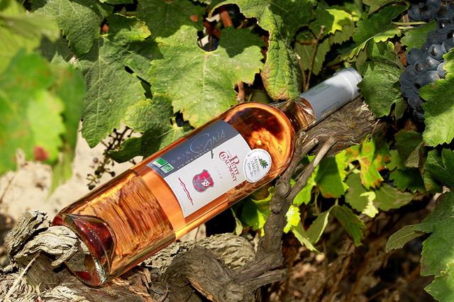 Domaine du petit Chaumont Aigues Mortes produit et élève des vins des sables biologiques (® saam-fabrice Chort)