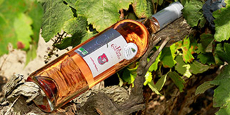 Domaine du petit Chaumont Aigues Mortes produit et élève des vins des sables biologiques (® networld-fabrice Chort)