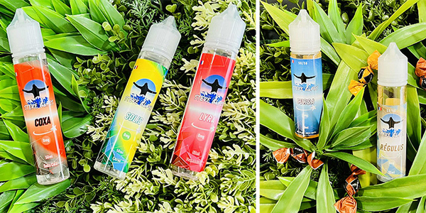 Steam Vap Nîmes • eliquides gourmands pour les Fêtes