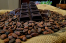 Cacao Marius Nîmes est un chocolatier artisanal (® SAAM D Gontier)