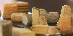 Fromages Nîmes (® networld-fabrice chort)